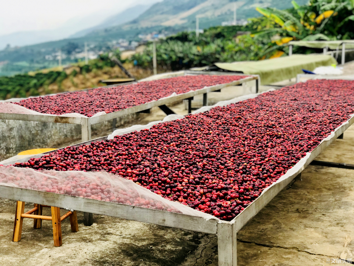 普洱市委宣传部供图