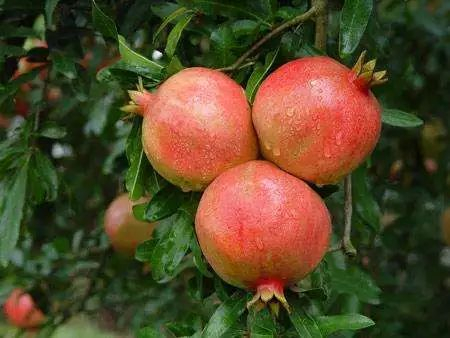 图源：“红河日报”微信公众号