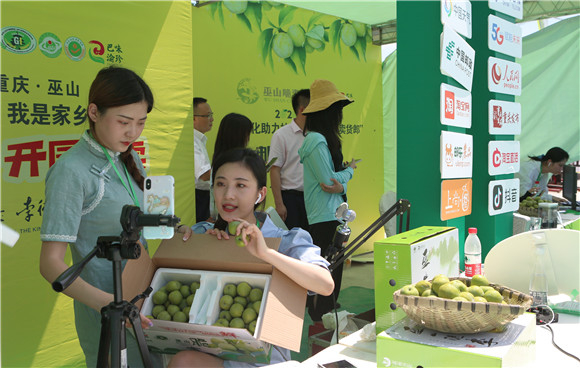 网络达人现场搭台销售脆李。巫山县融媒体中心供图 华龙网发