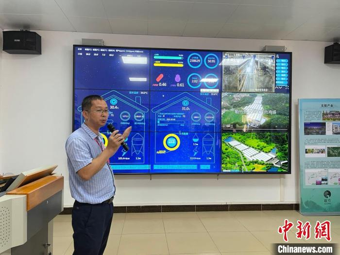 簕竹镇温氏集团三黄肉鸡场操控室内，大屏幕上各个鸡舍的情况一目了然。　方伟彬 摄