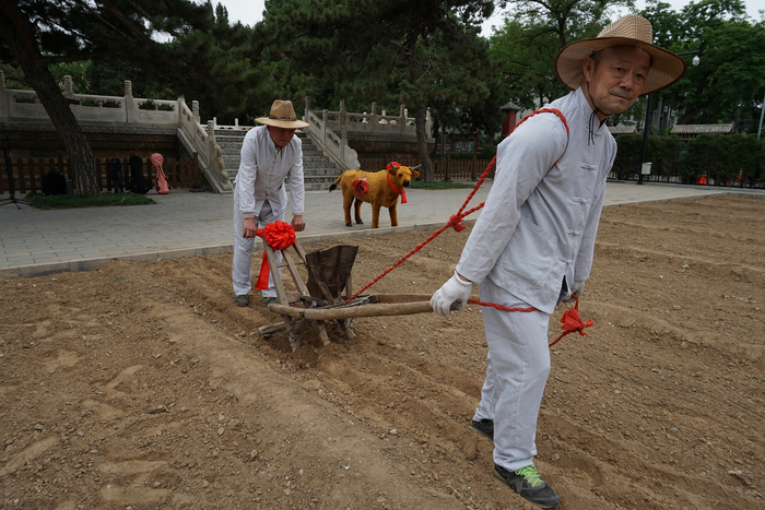 （活动现场展示农耕历史风貌，学生积极体验农耕文化。主办方供图，央广网发。）
