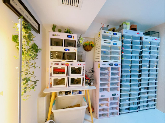 欧西打造的爬房（受访者供图）