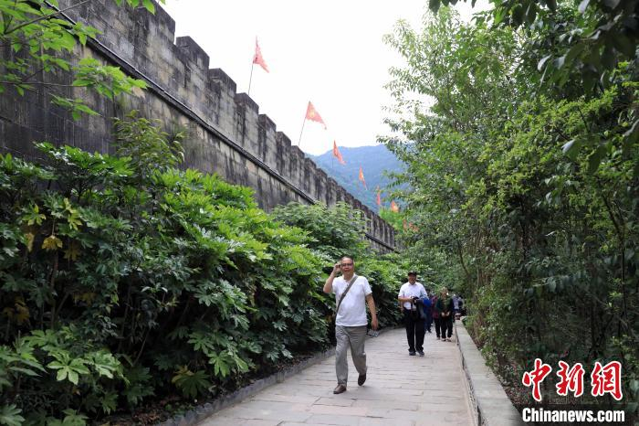 海外华文媒体代表参观昭化古城。　王磊 摄