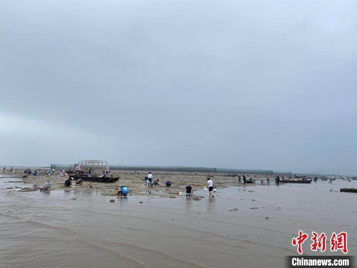 村民赶海场景。　王林威 摄