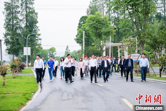 众人参观安吉 殷兴华 摄