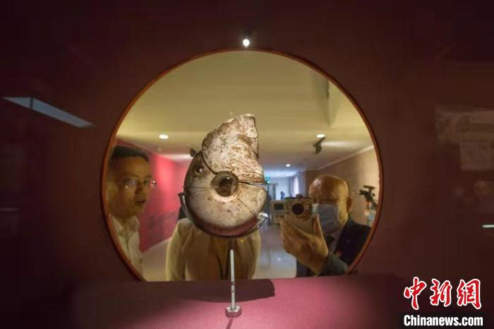 民众参观本次展览的代表性文物。　张云 摄