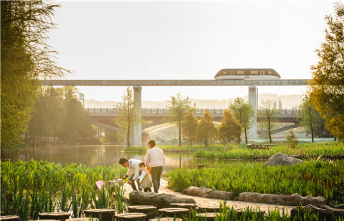 　璧山云巴（央广网发 璧山区委宣传部供图）