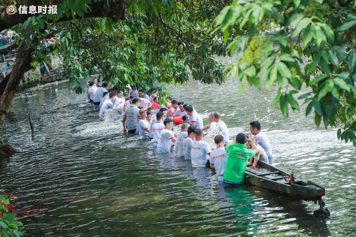 村民们把龙船从池塘底“起”出来。信息时报记者 陈文杰 摄