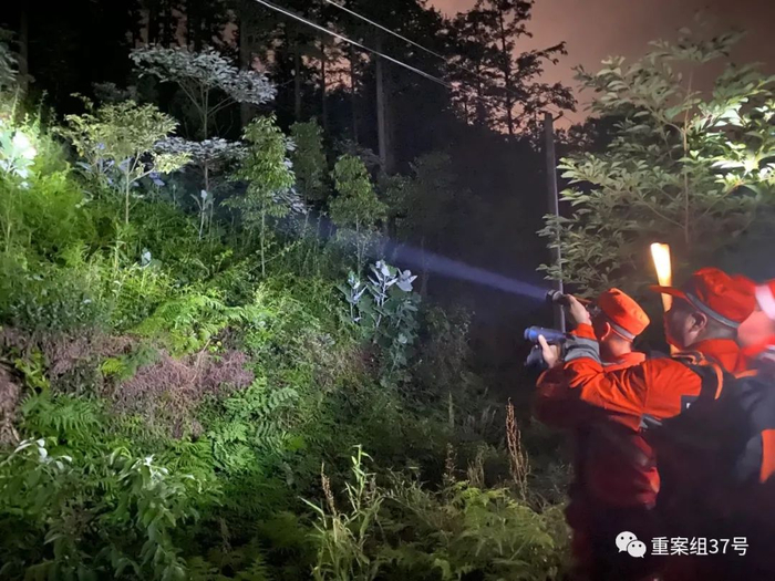 夜间进山的搜寻队，发现任何风吹草动，几束光打在惊动的草丛里，手电筒的强光将小动物逼出来。新京报记者 肖薇薇 摄