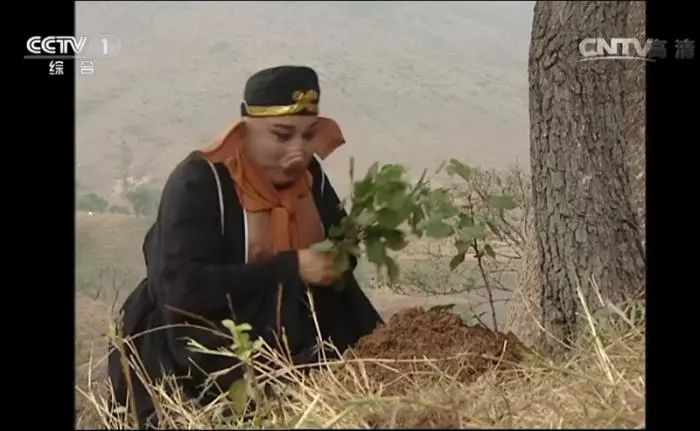 图片来源：《西游记》视频截图