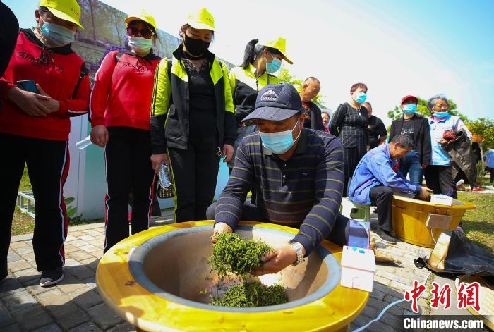 不少游客专门驱车前来，开启一场别样的“茶之旅”。　许昌银 摄
