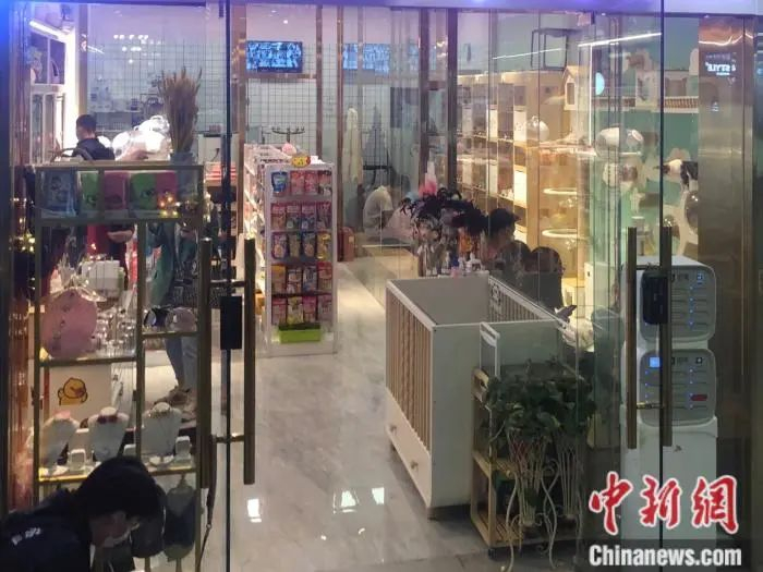 北京市一家宠物店。中新网 左宇坤 摄
