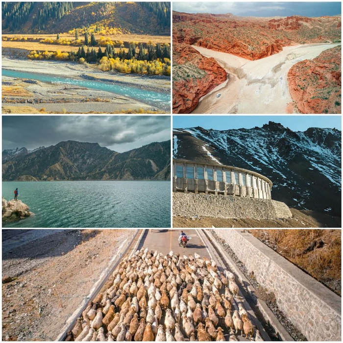 △毗邻的独库公路，能够用最少的时间和精力去感受天山南北风景和植被的巨大差异，一年只有6个月能够通行。2017年摄。