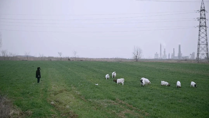 韩仕梅生活了半生的村庄，房屋旁是一片田野。澎湃新闻记者柳婧文曾茵子图