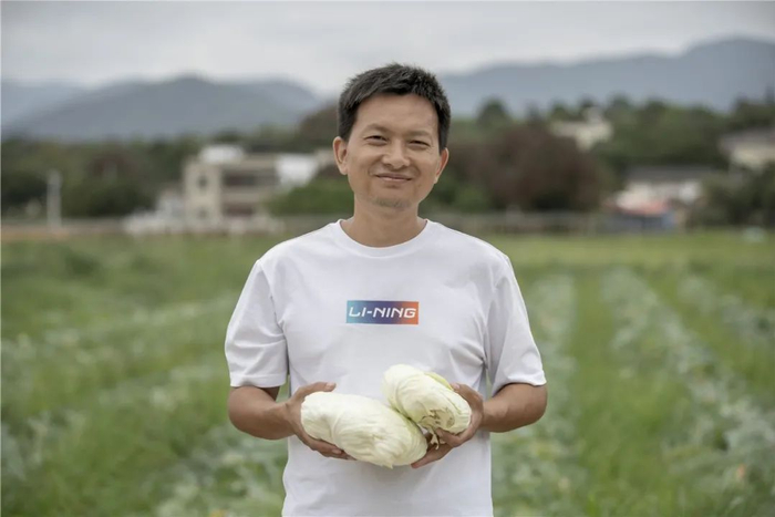 菜农石青天赶上了包菜的好收成