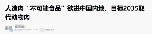 帕特布朗参加2019年财富全球可持续论坛的报道截图