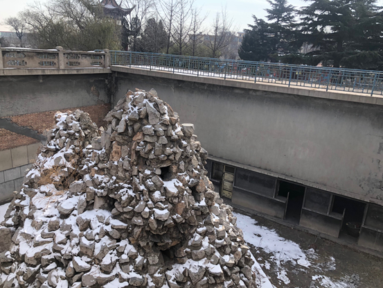 图 | 没有动物的动物园，空旷的猴山