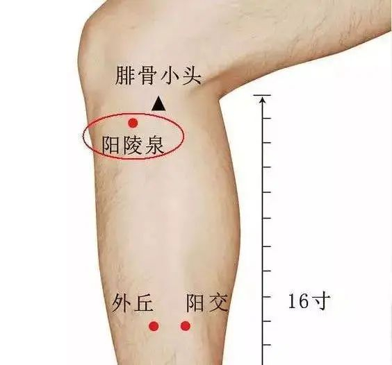 中医穴位口诀（精华版）