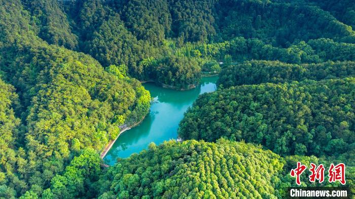 图为生态修复后的缙云山黛湖美如画。　秦廷富 摄