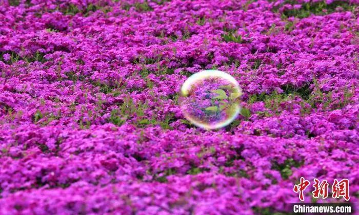 图文无关。钟学满 摄