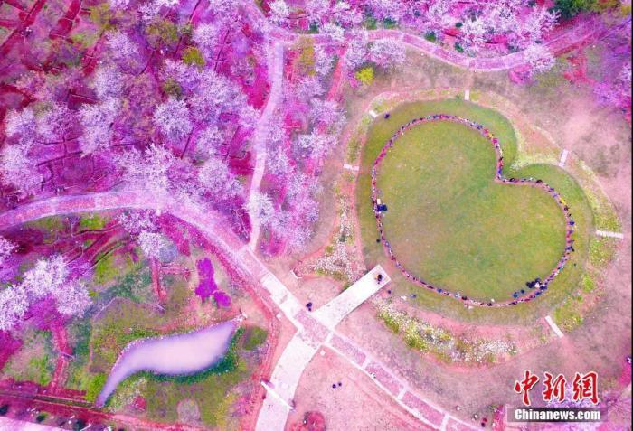 图文无关。鲍赣生 摄