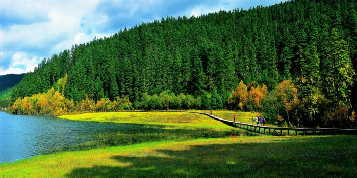 普达措国家公园 图源：云南省林业和草原局网