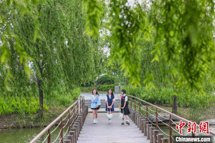 年轻人在罗曼园中休闲。　泱波 摄