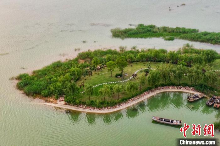 骆马湖畔生态良好。　泱波 摄
