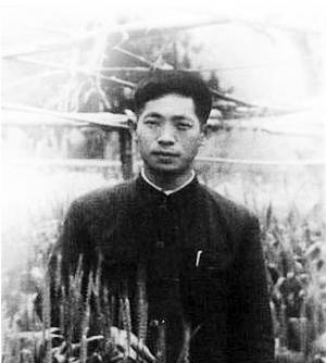 青年袁隆平（图片来源：新商报）&nbsp;