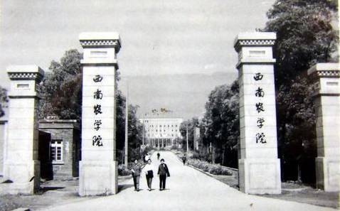 西南农学院老校门（图片来源于网络）