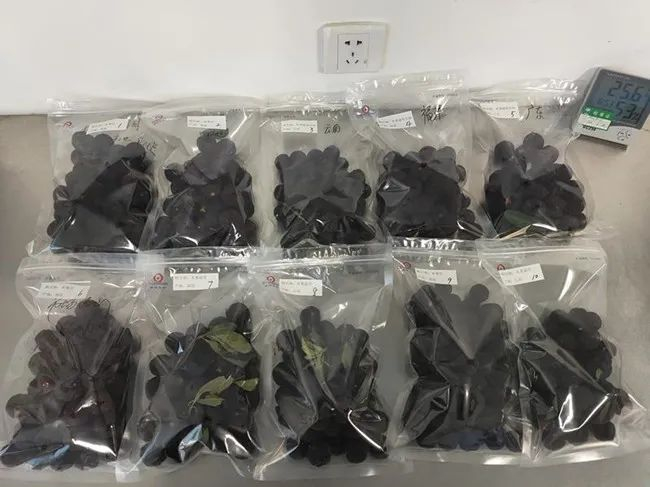 ▲资料图片