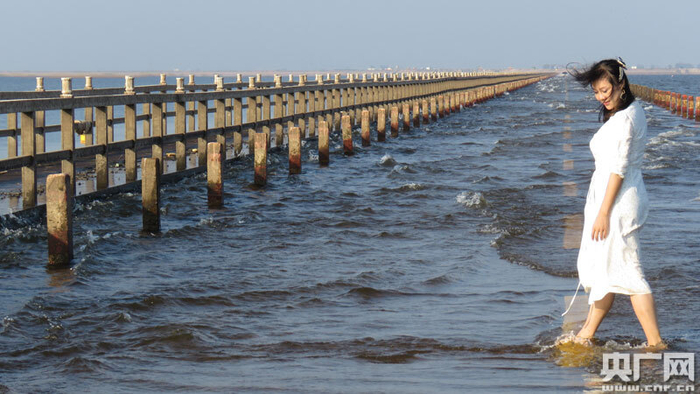 央广网发 通讯员供图 