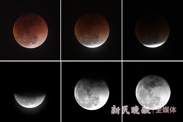 资料图：2018年2月1日所见的“红月亮” 新民晚报记者 周馨 摄