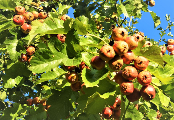 健康时报资料图