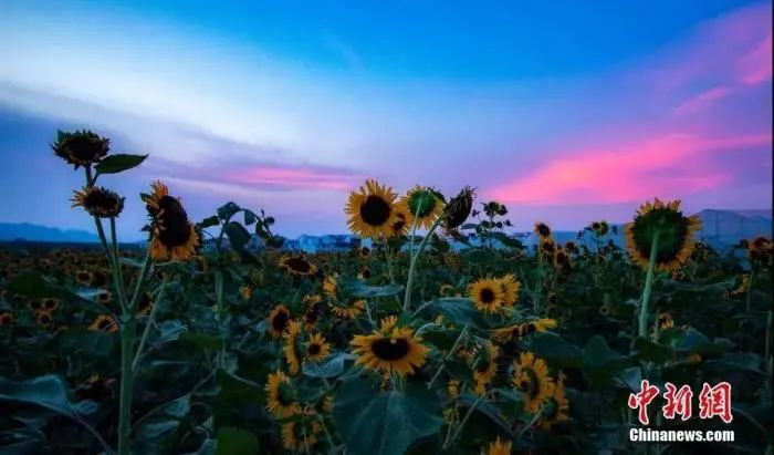 图文无关。赵春亮 摄