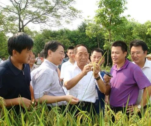 本文图均为&nbsp;&nbsp;农村工作通讯微信公众号 图