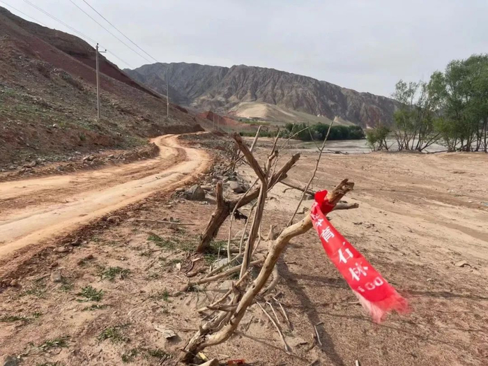 越野跑的赛道上还缠着指路的布条