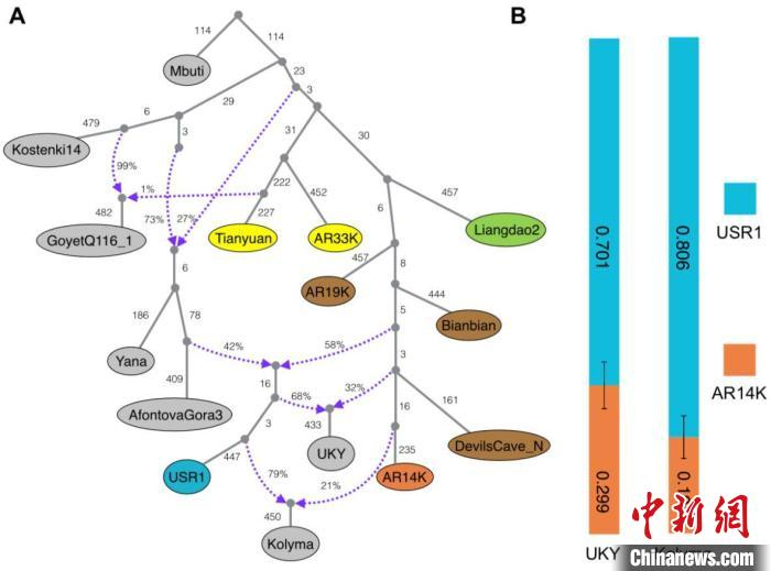 东亚北方人群遗传混合结构模型。　研究团队 供图