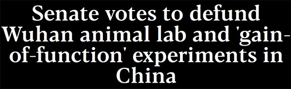 《国会山报》报道截图