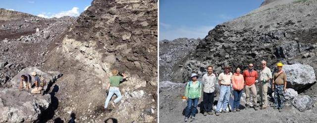 内蒙古霍林河盆地早白垩世硅化植物化石剖面，科研团队现场考察研究。 中科院南古所 供图 