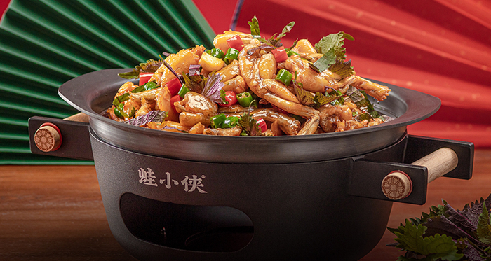 蛙小侠产品，蛙小侠供图。