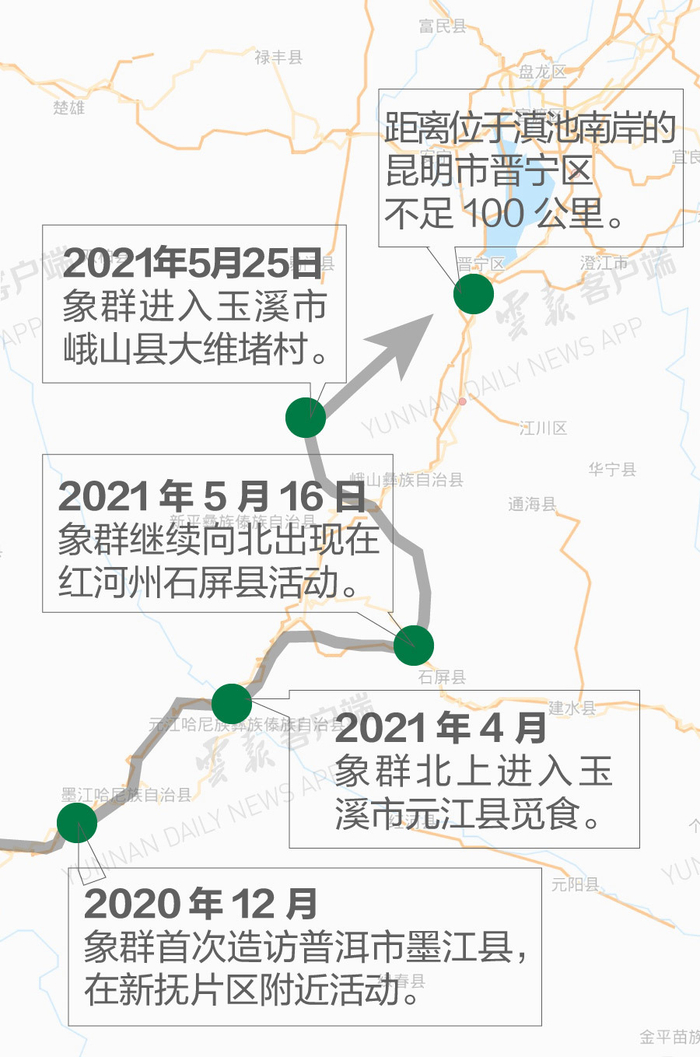 象群已经移动了400公里&nbsp; 图源：网络