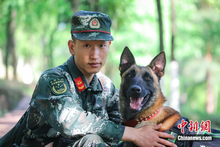 图为训导员与军犬的合影。武警贵州总队机动支队供图