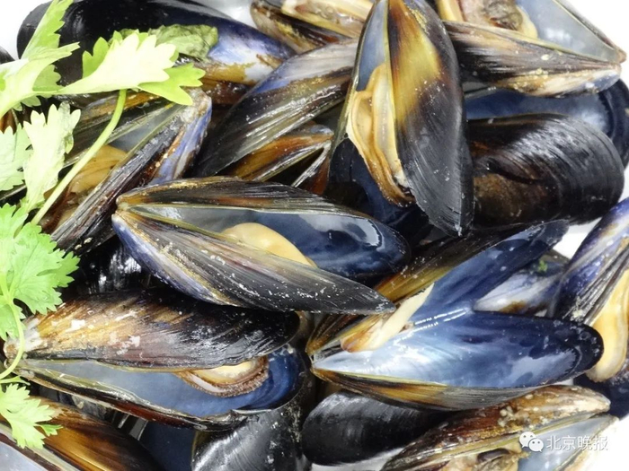 海虹 视觉中国 供图