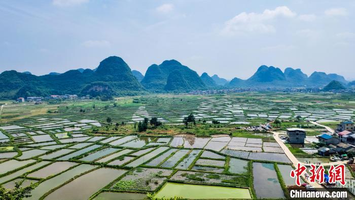 图为5月1日拍摄的桂林网红景点“玻璃田”。　杨宗盛 摄