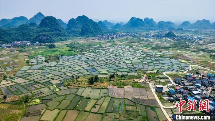 图为5月1日拍摄的桂林网红景点“玻璃田”。　杨宗盛 摄