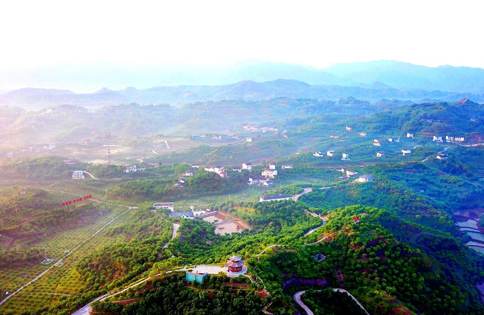 航拍下的万石耕春·梁平柚海之晨（央广网发 熊伟摄）