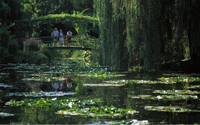 （实拍图，中海·枫丹公馆供图，央广网发）