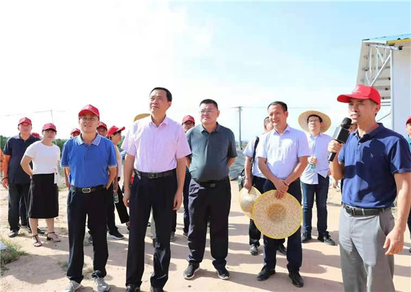 嘉宾们参观合作社集约化育苗中心。