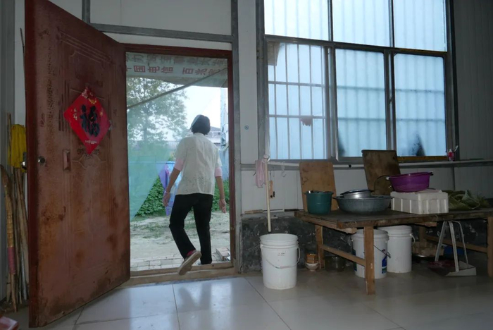 从徐伟夫妇家仓库后门走出，是一片菜地，徐伟的父母一天中大多数的时间都待在这边。